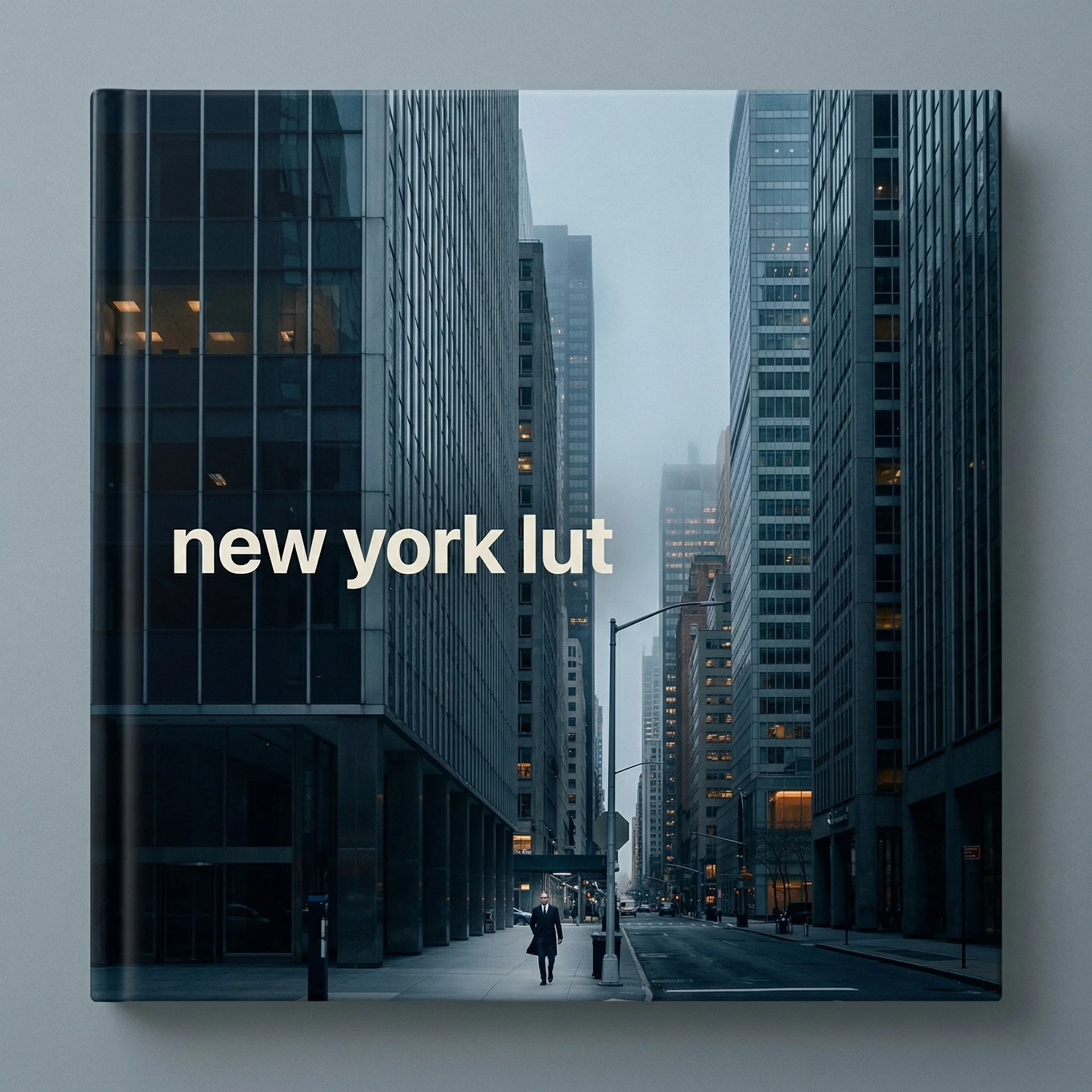 Portada de new york lut